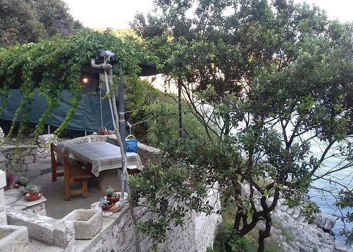House Rasohatica Tare * Zrnovo