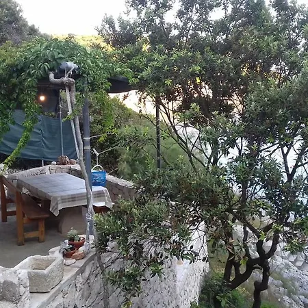 House Rasohatica Tare * Zrnovo